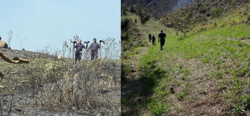 21151361_489380701439667_7676219652564652573_n