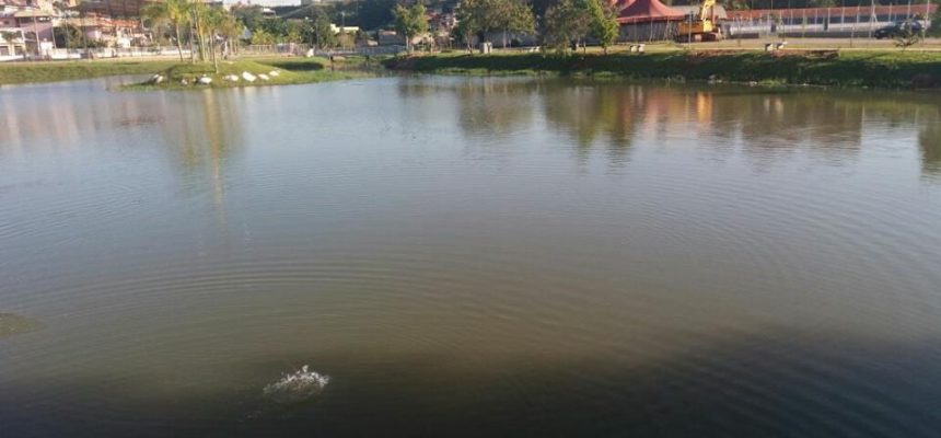 18920186_1925393724370087_75965256809609292_n