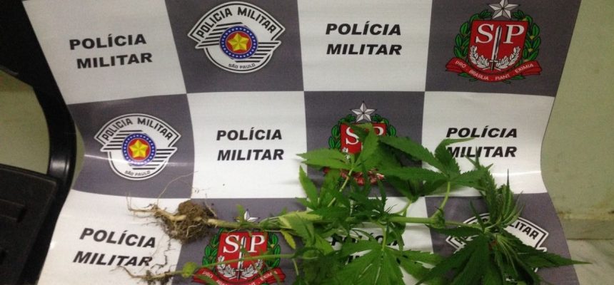 20122017100930_sem_ttulo