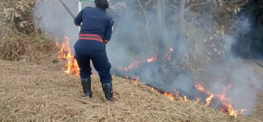 a17056521b5cfbcbcb60bbd62be330ef