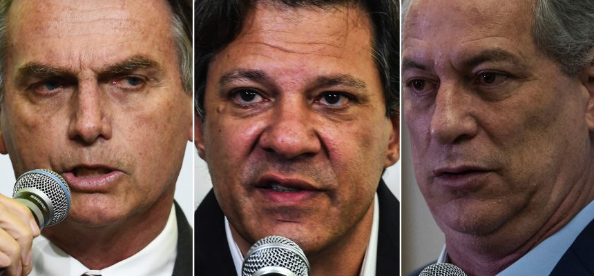 bolso-haddad-ciro