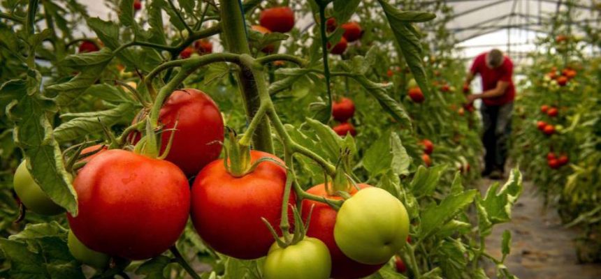 1485452921_120896_1485454487_noticia_fotograma