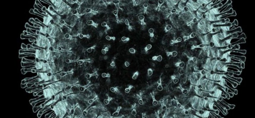 coronavirus-china-corona-virus-arenavirus-coronavirus-virus-virus-na-china-sars-plague-inc-novo-virus-na-china-coronavirus-humano-o-que-e-coronavirus-coronavirus-sintoma-oms-opas-1