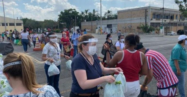 ceagesp-kits-13012021101024437