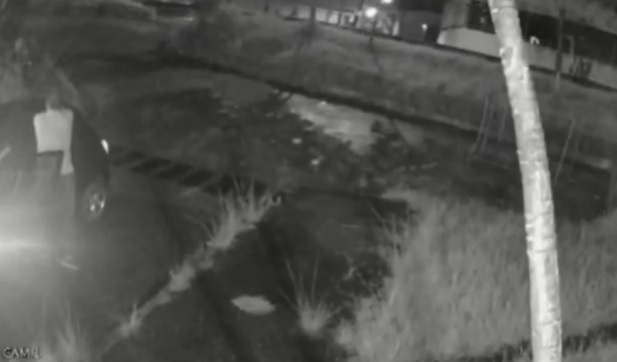 430f0537-morte-vizinho