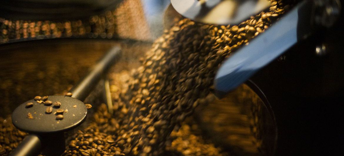 Pequenas torrefações preparam grãos especiais de café