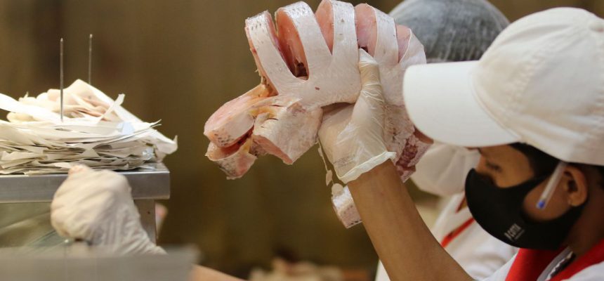Comércio de peixes e pescados para a Semana Santa