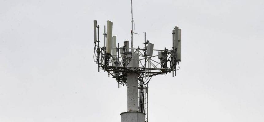 49414844793_0c029c8453_o