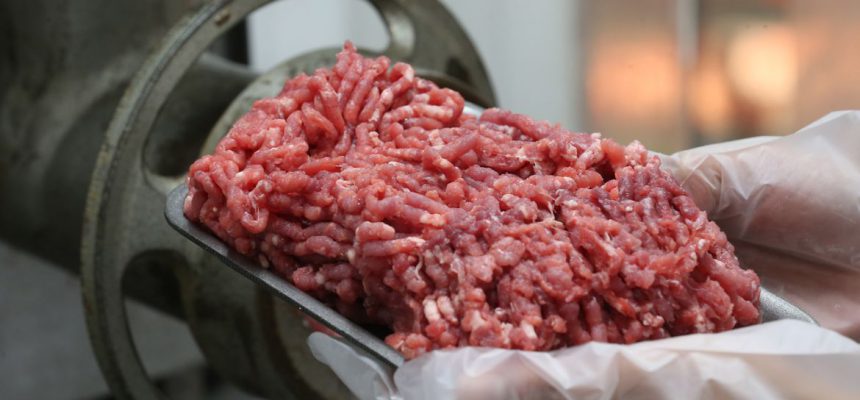 Carne moída