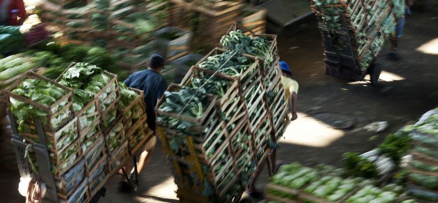 Trabalhadores da Companhia de Entrepostos e Armazéns Gerais de São Paulo (CEAGESP), uma das principais empresas estatais brasileiras de abastecimento