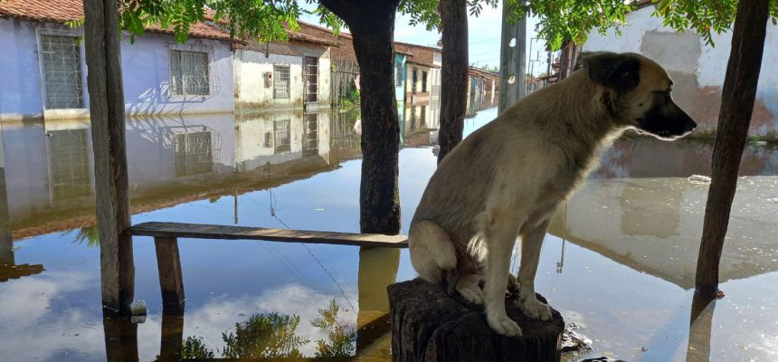 Bacabal (MA), 09.04.2023 - Presidente da República, Luiz Inácio Lula da Silva, acompanhado do governador do Maranhão, Carlos Brandão, visita áreas atingidas pelas fortes chuvas que castigaram mais de 60 cidades no Maranhão. Foto: Gabriel Correa/Agência Brasil