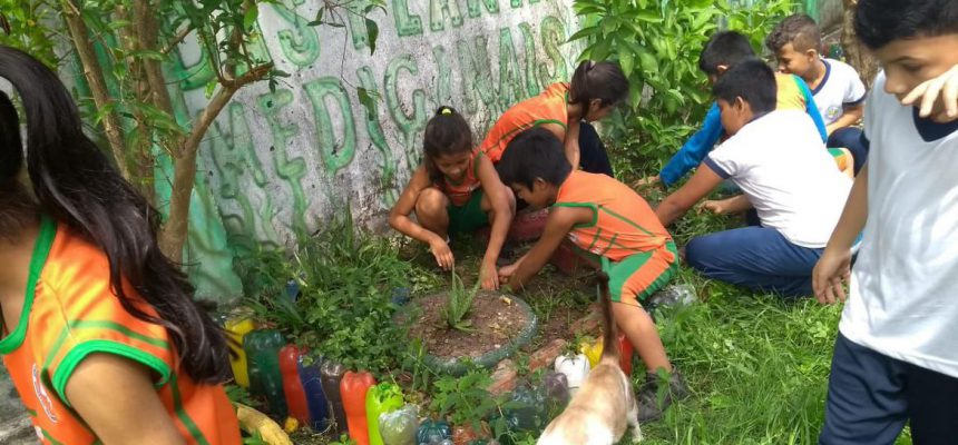 projeto_soltando_a_voz_em_parintins_2