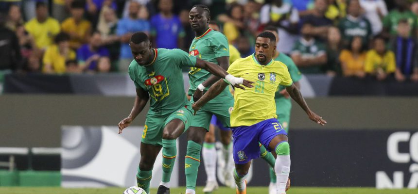 52990050718_f12ed9de52_o