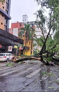 ciclone-derruba-arvores-e-causa-falta-de-luz-e-deslizamentos-16062023084742131