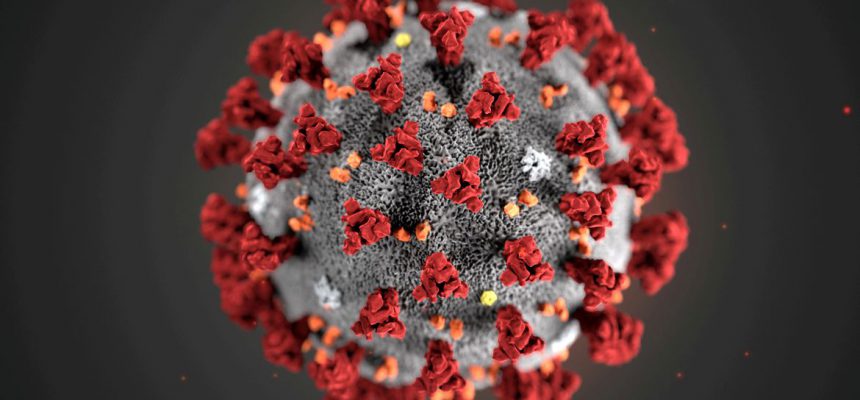 2021-02-19t194154z_1_lynxmpeh1i1cj_rtroptp_4_health-coronavirus-africa-variant